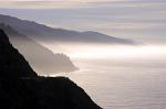 morning fog