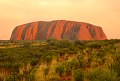 Australasia-main chapter