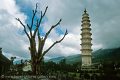 Dali- Yunnan Province
