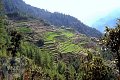 Langtang Trek
