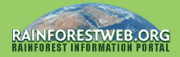 rainforest org