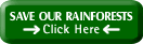 ranforests