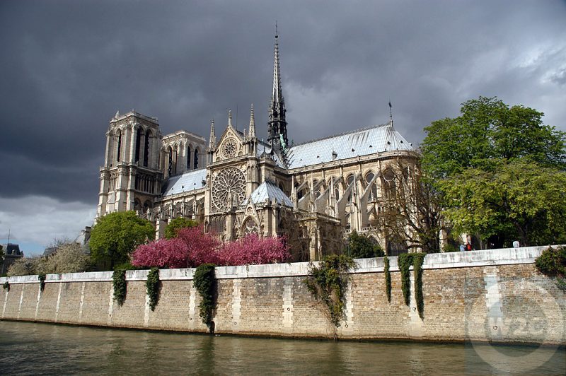 France - Paris -Notre Dame Cathedral