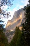 late afternoon sun