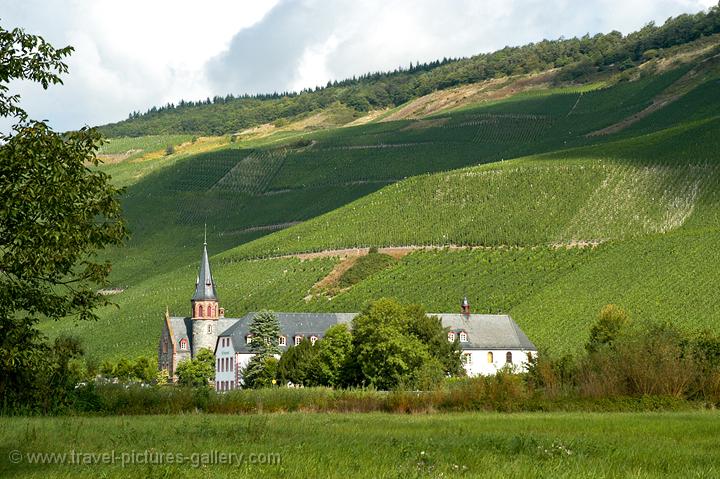 vineyards and castle on the sloping hillsides