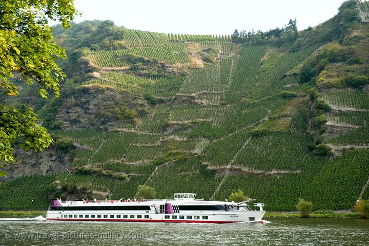 vineyards and cruiseship