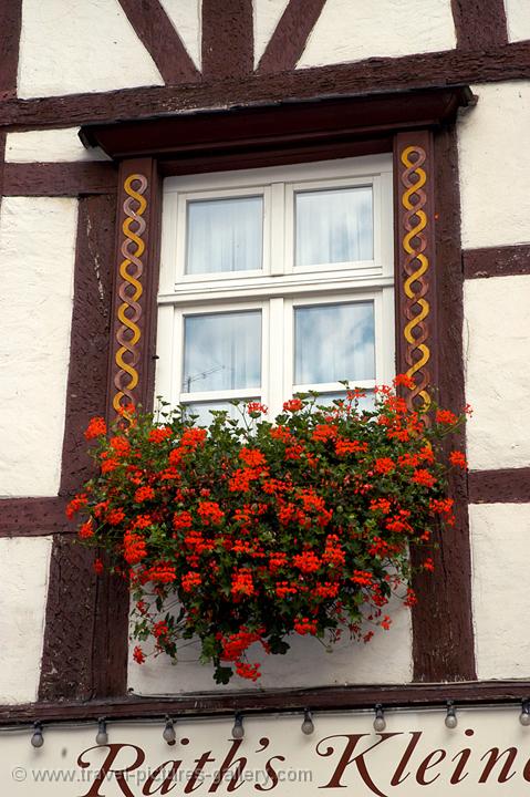 window, geraniums, Bernkastel Kues