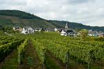 vineyards along the river