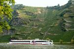vineyards and cruiseship