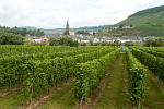 vineyards along the river