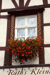 window, geraniums, Bernkastel Kues