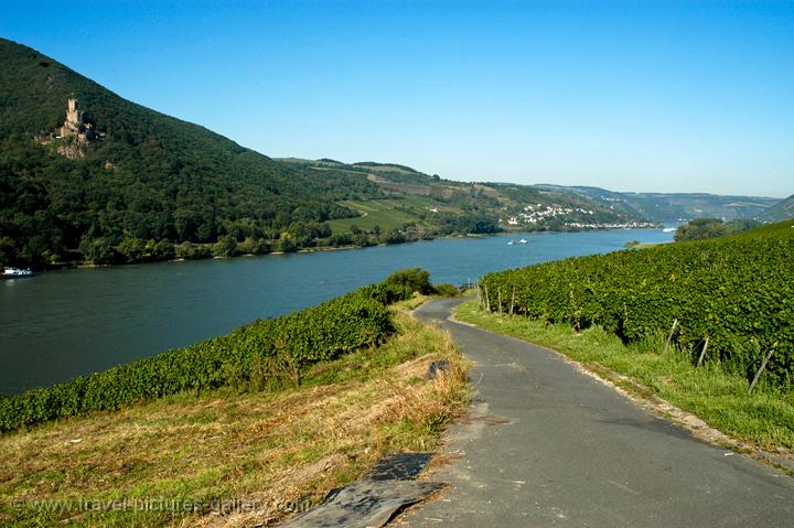 vineyards and castles along the river