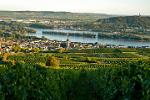 vineyards and the town of Rdesheim