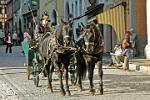 a horse drawn cart