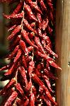 chili peppers at the market