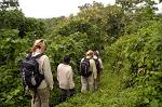 trekking the vulcano slopes, Parque National des Virunga