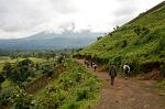trekking in the Parque National des Virunga