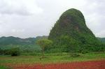 Mojotes, limestone hills in Vinales