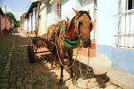 a horse and cart, colonial houses, Trinidad