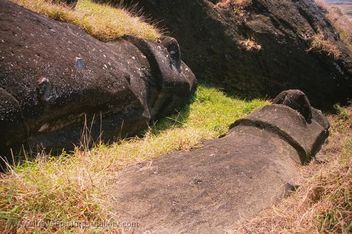 toppled Moai statues