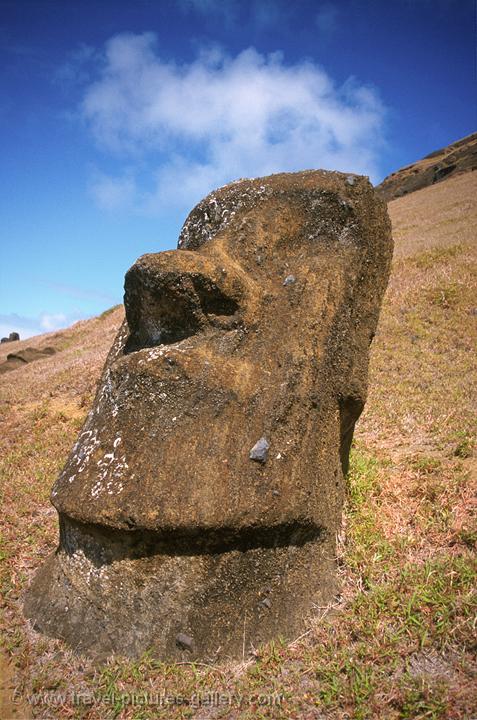 Moai at Rano Raraku