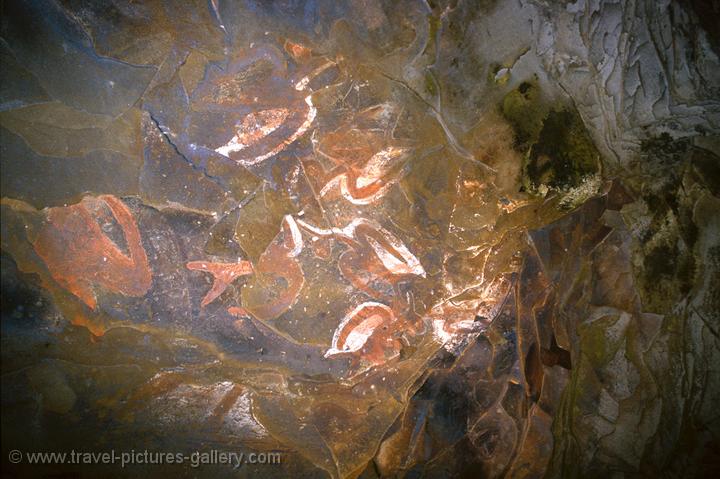 bird motives, Polynesian rock art