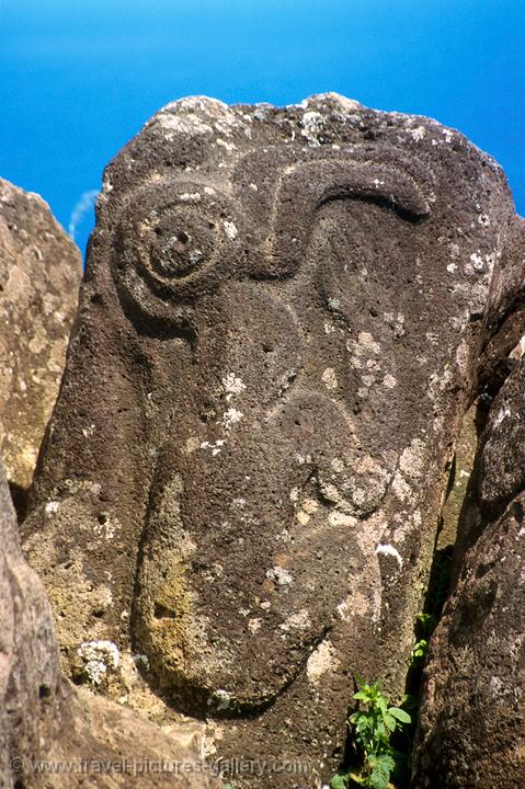 the Birdman Petroglyphs at Orongo