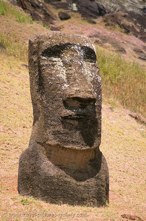 Pictures of Chile- Rapa Nui- Easter Island - Moai on the slope of Rano Raraku