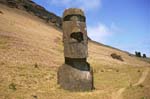 Moais on the slope of Rano Raraku