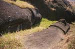 toppled Moai statues