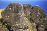 the Birdman Petroglyphs at Orongo