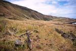 a rough mountainbike track