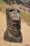Moai on the slope of Rano Raraku