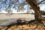 Lake Tana shore, source of the Blue Nile