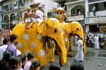 Esala Perahera, Kandy, Sri Lanka