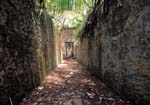 Devil's Islands, Ile St. Joseph, prison ruins