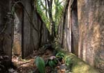 Devil's Islands, Ile St. Joseph, prison ruins