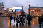 Piccadilly Circus on a rainy evening