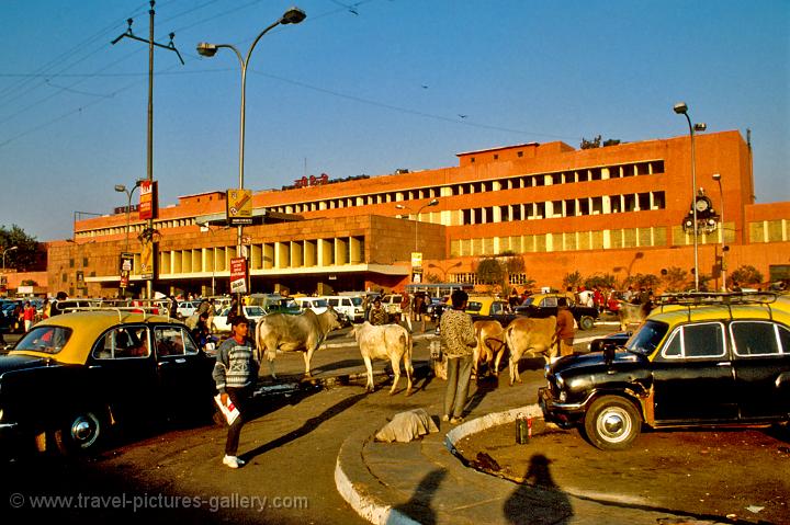 Pictures of India - Delhi-0022 - Old Delhi Railway Station traffic