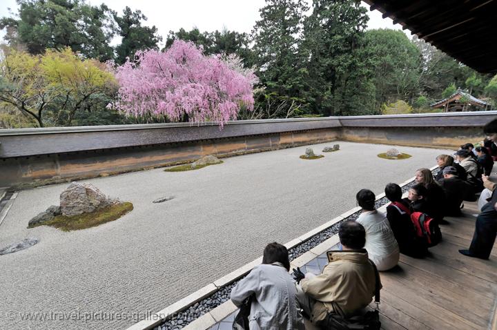 Travel Pictures Gallery Japan Kyoto 0004 Ryoan Ji Zen Garden Dry Landscape Rock Travel Pictures Gallery Japan Kyoto, Dry Landscape Garden Ryoanji