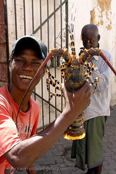 fresh lobster, Old Town, Mombasa