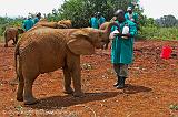 feeding a young elephant, David Sheldrick Trust, Nairobi