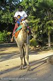 man and child riding a camel, Mombasa