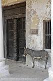 in the old town of Lamu