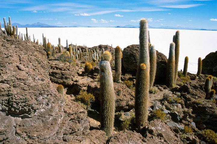 Salar de Uyuni, Bolivia