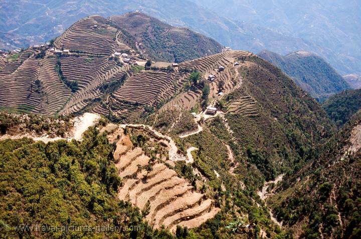 Helambu terraces, Nepal