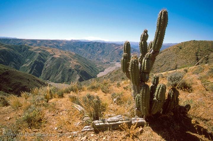 Altiplano, Bolivia