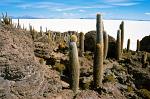 Salar de Uyuni, Bolivia