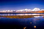 Lake Manasarovar, Tibet