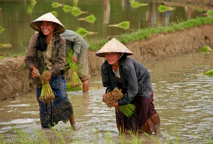 laos girl